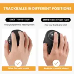 Souris bluetooth à boule ProtoArc - Kf se c f ab cf da f bh - Mon Univers Tech